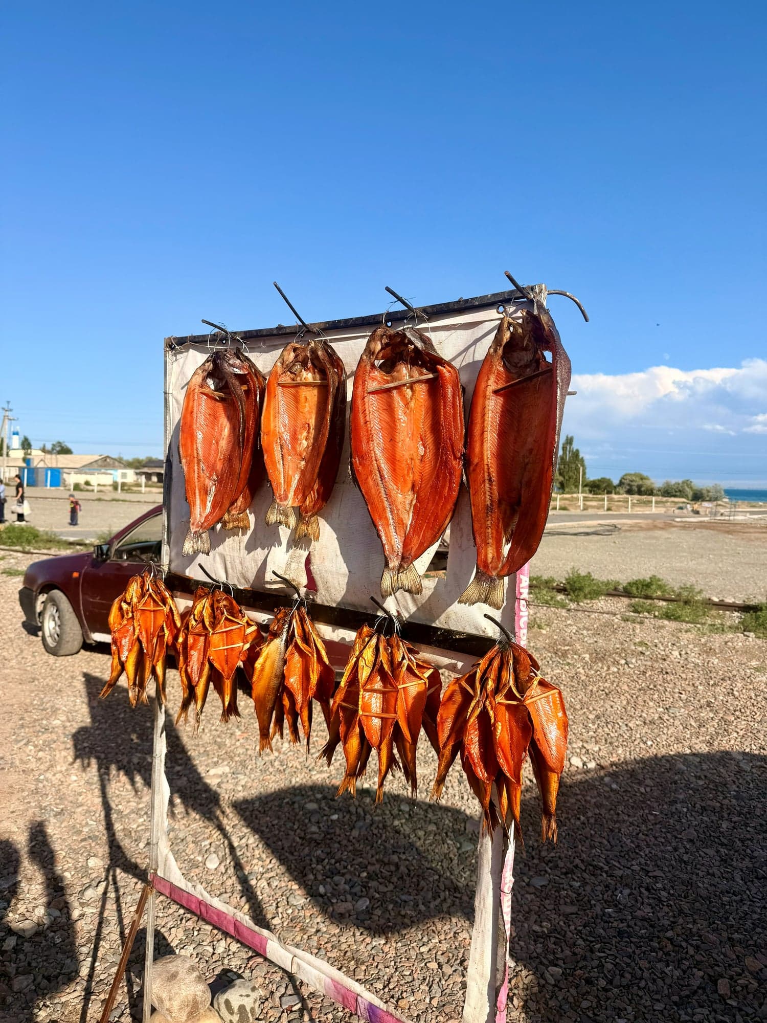 Roadside fish stall