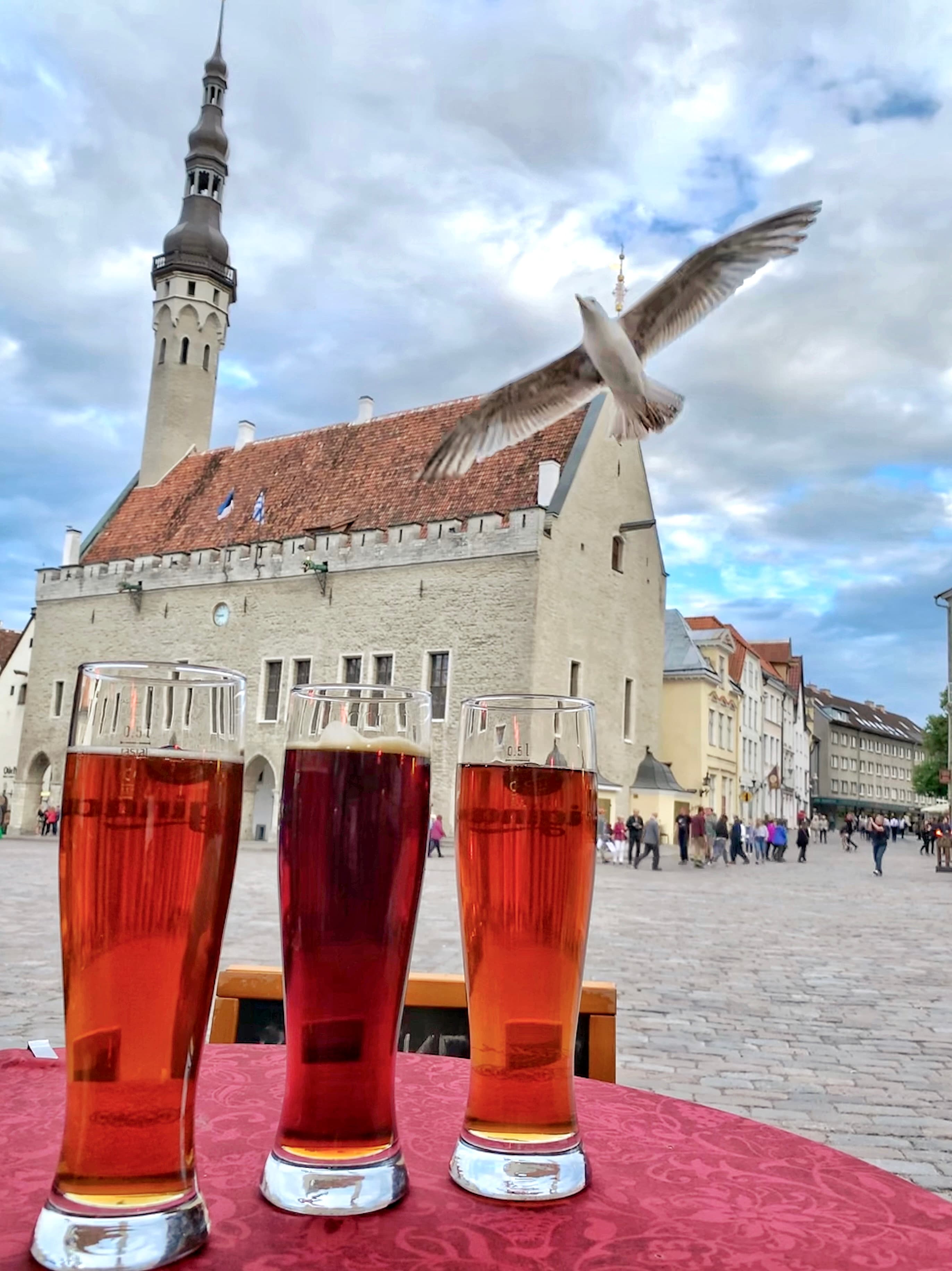 Three beers and a seagull
